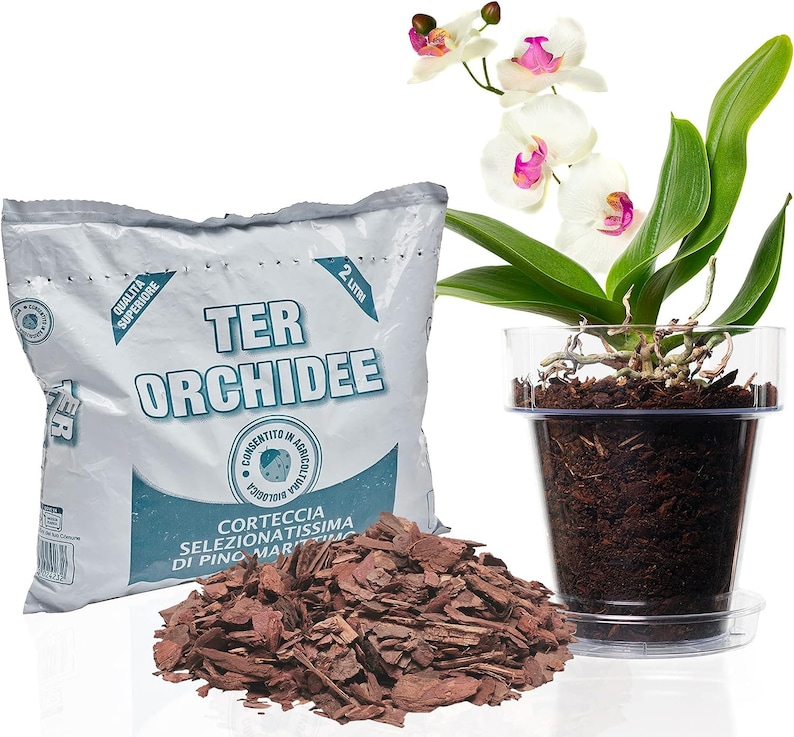 Kit per Rinvasare Le Orchidee: Vaso Trasparente con Fori drenaggio, Sottovaso e Terriccio specifico per Orchidee immagine 1