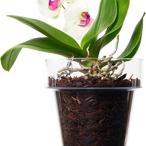 Kit per Rinvasare Le Orchidee: Vaso Trasparente con Fori drenaggio, Sottovaso e Terriccio specifico per Orchidee immagine 3