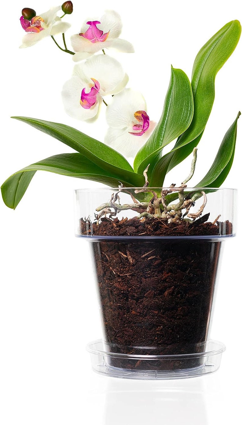 Kit per Rinvasare Le Orchidee: Vaso Trasparente con Fori drenaggio, Sottovaso e Terriccio specifico per Orchidee immagine 3
