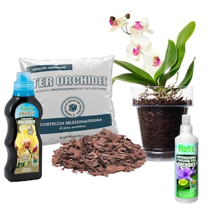 Puede incluir: Un conjunto de productos para el cuidado de las orquídeas que incluye una bolsa de tierra para orquídeas, una botella de fertilizante para orquídeas, una botella de spray foliar para orquídeas, una bolsa de corteza de pino y una planta de orquídea en maceta con flores blancas.