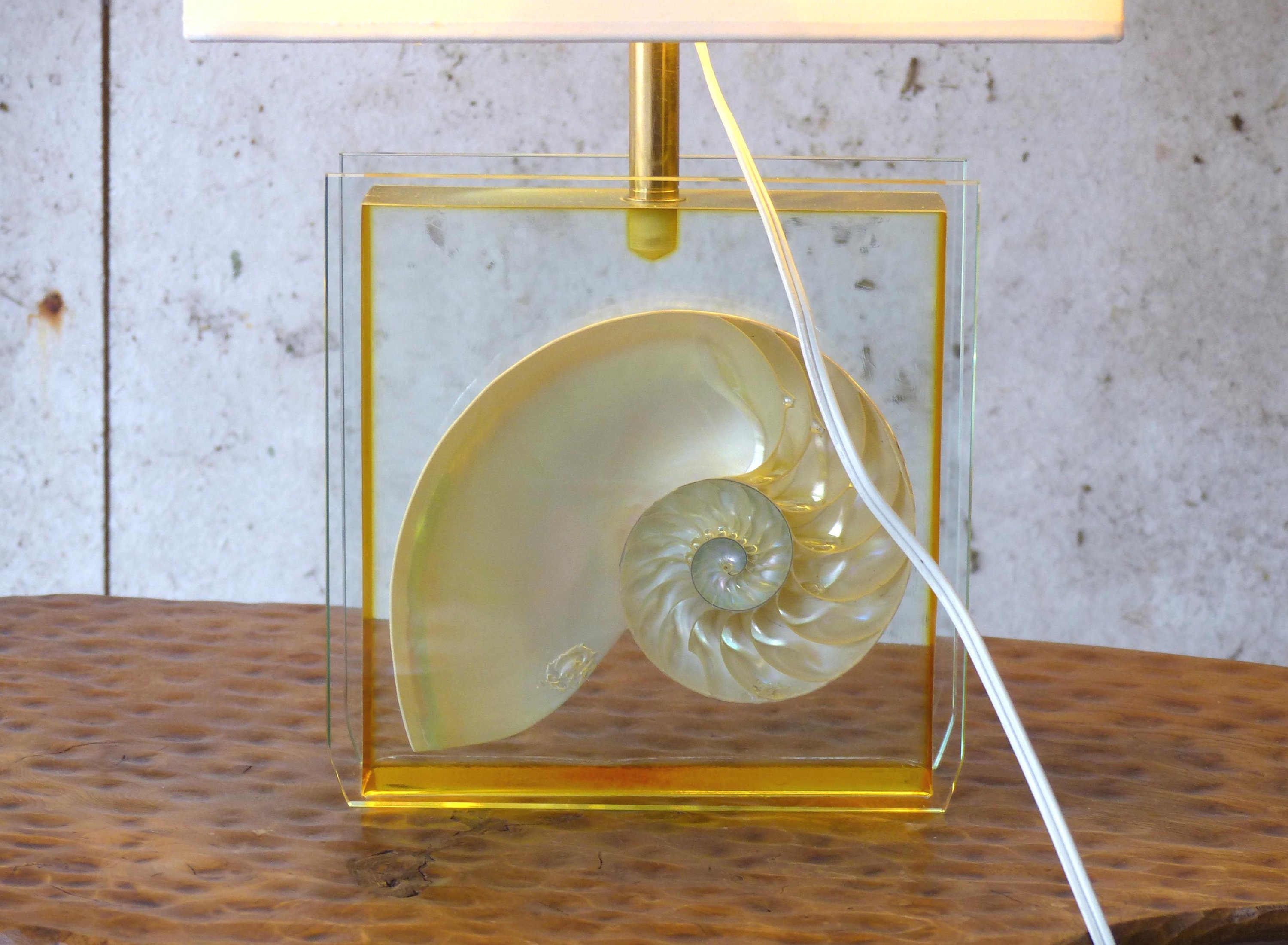 Nautilus shell lamp deals