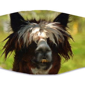 Alpaca Adult Face Mask - Elastic Straps - Replaceable Filters - Masks - Original Art