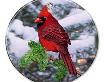 May include: A red cardinal bird perched on a green pine branch against a snowy winter background.