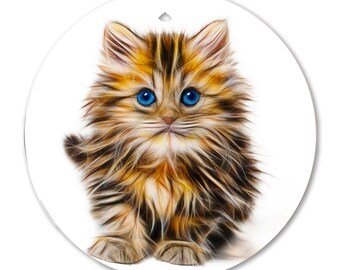 May include: A fluffy brown and white kitten with bright blue eyes sits on a white background. The kitten has a soft, fuzzy coat and looks directly at the camera.