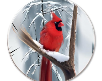 May include: A red cardinal perched on a snow-covered branch with icy twigs in the background.