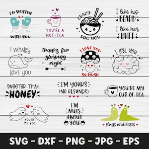 Valentinstag SVG-bundle, Vektor-Schnitt-Dateien, süße Clipart, Du bist mein Schatz, verrückte pho you, lustige Liebeszitate, Wortspiel Designs, digitaler Download