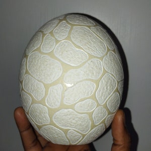 May include: A white ostrich egg with a raised, textured pattern. The egg is being held in a hand.