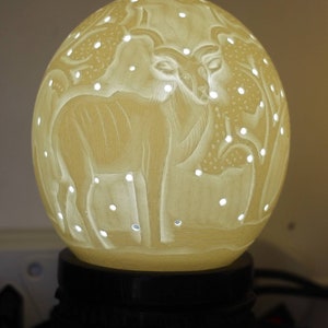 Ostrich Egg Fine Art carved Kudu Antelope Lampshade. Authentic shell with and tree carvings and Holes. House warming/ office lighting gifts