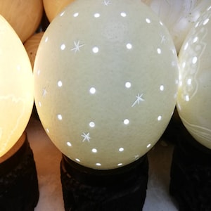 Ostrich Eggs lighting Lampshades with holes. Handmade South African Art Office decor Handcrafted housewarming/anniversary/wedding gifts