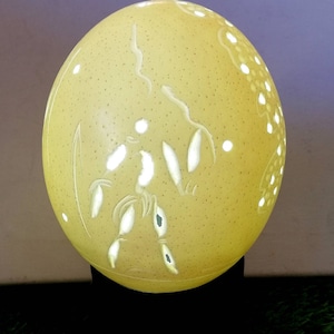 African Zulu Warriors carved Ostrich Egg Shell lampshade. Dim romantic lighting. Approximately 4x5 inches. Shipping Worldwide