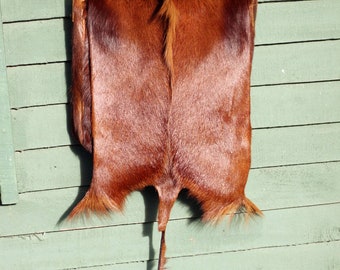 Brown Dyed Antelope, Springbok Leather Large Slingbag/Messenger bag. Original leather with furs African animal themed bag. 30cm x 30cm Gifts