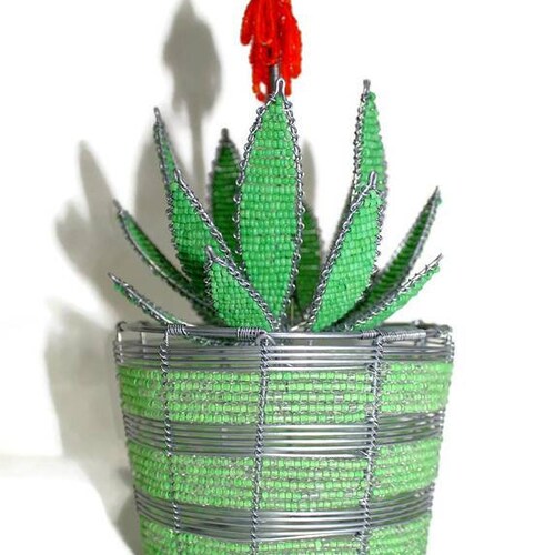 Buy Green Aloe Vera Plant on Blue Mixed Seed and Glass Beads Vase. Online  in India - Etsy