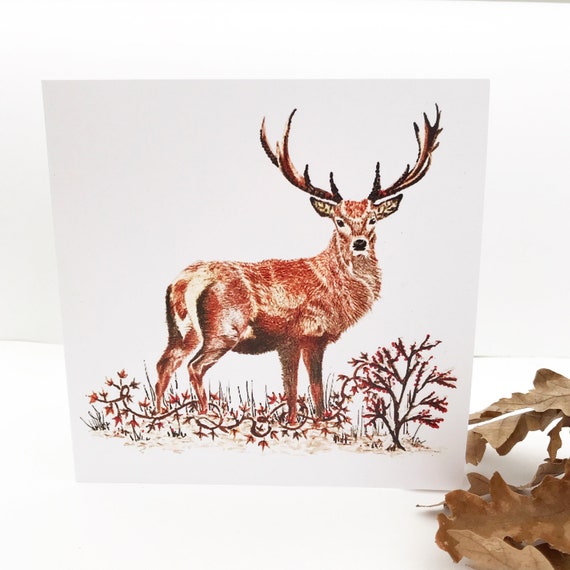Red Stag Note Card Red Stag Note Card