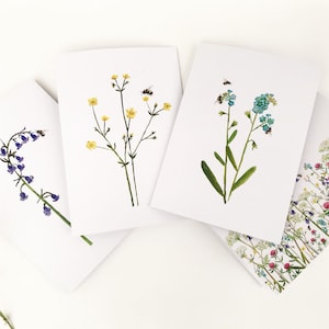 May include: Four blank greeting cards with watercolour illustrations of flowers. The cards feature a blue forget-me-not, a yellow buttercup, and a purple bellflower.