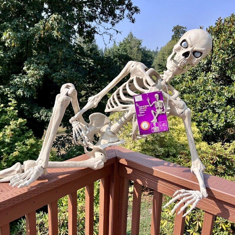 5ft Ultra Poseable Skeleton home Accents/home Depot Etsy