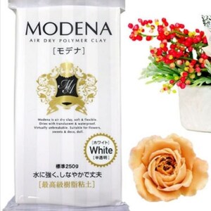 Argilla modenese 250 g (8,8 once). Argilla asciutta all'aria, morbida e flessibile