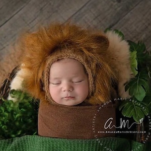 May include: A newborn baby wearing a brown lion costume with a fluffy mane, sleeping in a green and brown basket with green leaves. The baby is wrapped in a brown blanket and is lying on a green blanket.