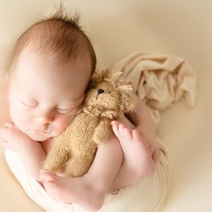 Puede incluir: Un beb&eacute; reci&eacute;n nacido duerme pl&aacute;cidamente envuelto en una manta de color crema y sosteniendo un animal de peluche de punto marr&oacute;n.