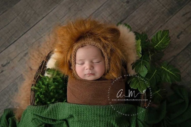 May include: A newborn baby wearing a brown lion costume with a fluffy mane, sleeping in a green and brown basket with green leaves. The baby is wrapped in a brown blanket and is lying on a green blanket.