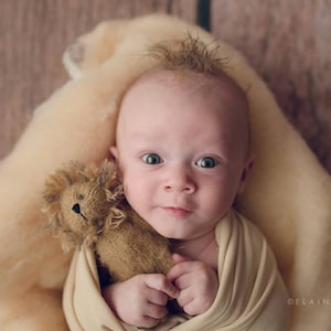 Puede incluir: Un beb&eacute; envuelto en una manta beige est&aacute; sosteniendo un juguete de peluche de le&oacute;n marr&oacute;n. El beb&eacute; tiene ojos azules y est&aacute; mirando directamente a la c&aacute;mara.