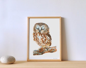 owl illustration - owl - owl watercolor - bird painting - bird - watercolor - art print -decoration - mural decoration drawing