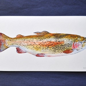 trout illustration rainbow trout fishwatercolor painting fish painting watercolor artprint fish decoration marine decoration image 1