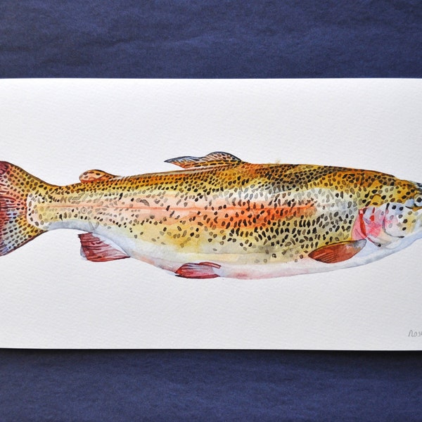 illustration truite - truite arc-en-ciel - aquarelle poisson - peinture poisson - aquarelle-impression d'art 20x40cm -decoration murale