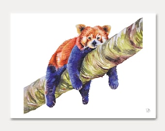 red panda card- red panda ,printed card,animal lovers,watercolor,animal card, home decoration, art print,postal card,illustration,painting