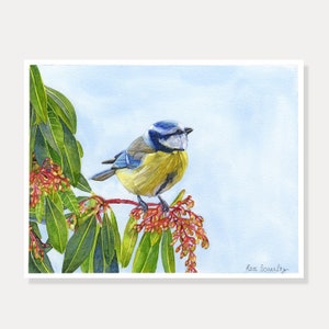 carte mésange - carte oiseau - mésange - carte imprimée, aquarelle, carte nature, printemps, dessin oiseau , illustration, carte aquarelle