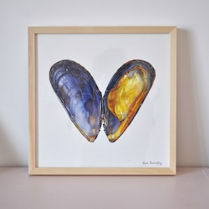 Könnte beinhalten: Aquarellmalerei von zwei geöffneten Muschelschalen, eine mit blauer und violetter Außenseite und gelbem Inneren, die andere mit gelbem Inneren und brauner Außenseite. Das Gemälde ist unten rechts mit "Ron Bennett" signiert.