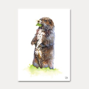 carte marmotte -carte imprimée, aquarelle, carte animal,animal,marmotte, decoration, carte postale, postkarte,illustration,peinture,carterie