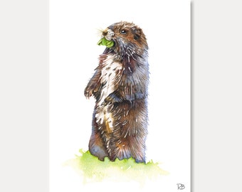 carte marmotte -carte imprimée, aquarelle, carte animal,animal,marmotte, decoration, carte postale, postkarte,illustration,peinture,carterie