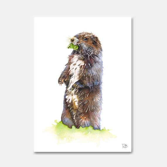 carte marmotte -carte imprimée, aquarelle, carte animal,animal,marmotte, decoration, carte postale, postkarte,illustration,peinture,carterie