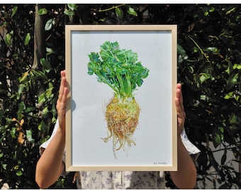 celery - celeriac -celery illustration - celery watercolor - celeriac painting - vegetable - vegan - vegie - artprint - mural decoration