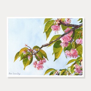 carte cerisier - carte bourgeon - fleurs - carte imprimée, aquarelle, carte nature, printemps, dessin feuilles ,illustration,carte aquarelle