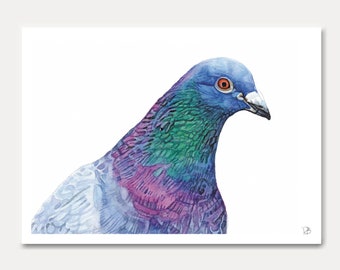 carte pigeon, pigeon,oiseau, carte imprimée,aquarelle, carte oiseau, carte postale,postkarte, illustration, peinture, carterie