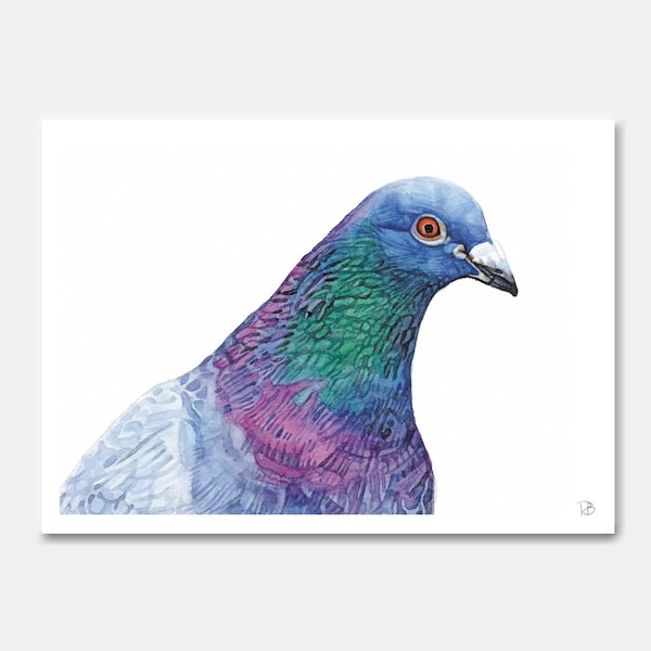 carte pigeon, pigeon,oiseau, carte imprimée,aquarelle, carte oiseau, carte postale,postkarte, illustration, peinture, carterie