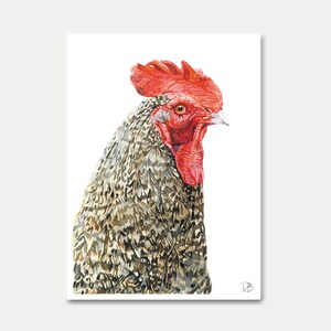 carte poule, poule, oiseau, animaux, carte imprimée, aquarelle, carte oiseau, carte postale,postkarte, illustration, peinture, carterie