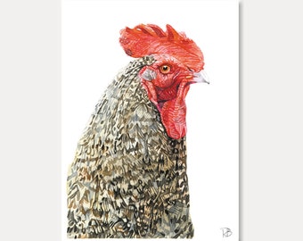 carte poule, poule, oiseau, animaux, carte imprimée, aquarelle, carte oiseau, carte postale,postkarte, illustration, peinture, carterie