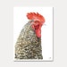 see more listings in the cards section
