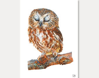 owl card- owl, printed card, animal lovers, owl card,watercolor,animal card, home decoration, art print, postal card, illustration, painting