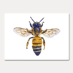 carte abeille - abeille - carte insecte, aquarelle, décoration murale , illustration, carte aquarelle, petit cadeau