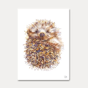 biglietto con riccio - biglietto stampato, acquerello, biglietto con animali, animale, riccio, decorazione, cartolina, cartolina, illustrazione, pittura, creazione di biglietti