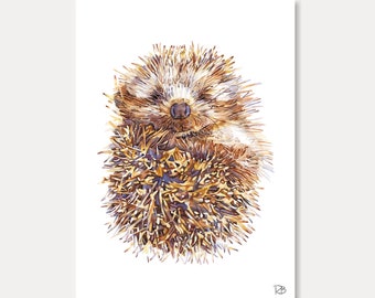 hedgehog card- hedgehog, printed card, animal lovers,watercolor, animal card, home decoration, art print, postal card, illustration,painting