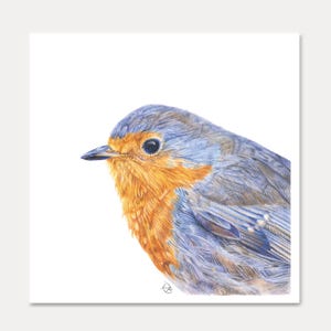 carte rouge-gorge, carte oiseau, aquarelle, rouge-gorge, oiseau, décoration murale,carte postale, illustration,peinture rouge-gorge
