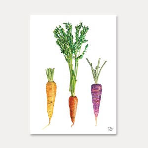 carrots card-carte carottes-carte imprimée,aquarelle,watercolor,postcards,home decoration,print,art print,illustration,drawing,carte postale