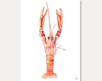 carte langoustine, langoustine, crustacé, carte imprimée, aquarelle,déco mer, déco cuisine, illustration, carterie,livraison gratuite france