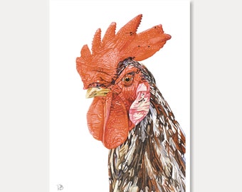 carte coq, coq, oiseau, animaux, carte imprimée, aquarelle, carte oiseau, carte postale,postkarte, illustration, peinture, carterie