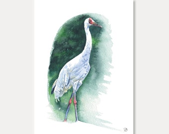 cranebird card- cranebird,printed card,animal lovers,watercolor,animal card, home decoration, art print, postal card, illustration, painting