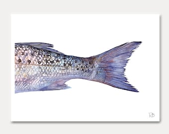 carte poisson -carte imprimée, aquarelle, carte, poisson, bar moucheté, décoration mer, carte postale ,illustration,peinture,carterie